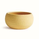 Anderson Decorative Bowl